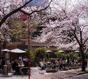 130322-f1.jpg