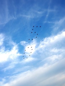 1437841252310 (2).jpg
