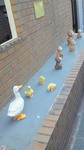 201001261031000.jpg