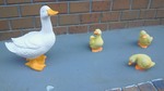 201001261032000.jpg