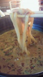201001291240001.jpg