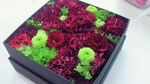 201004261806000.jpg