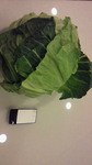 201005162232000.jpg