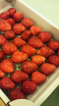 201005162233000.jpg