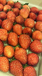 201005162234000.jpg