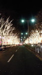 2010120318240000.jpg