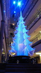 2010120319050000.jpg