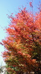 2010120910070000.jpg