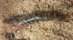 2010121214220001.jpg
