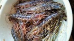 2010121214270000.jpg