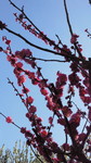 2011022211230000.jpg