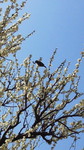 2011022211240001.jpg