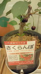 2011060415370000.jpg