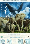 20110801_2198147.jpg