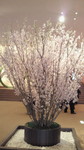 2012032513060000.jpg