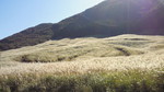 2012102109360001.jpg