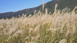 2012102109370000.jpg
