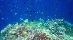 DSC03941.jpg