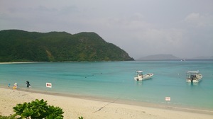 DSC_0374.jpg