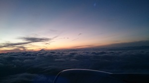 DSC_0800.jpg