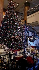 DSC_1058.jpg