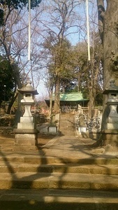 DSC_1736.jpg