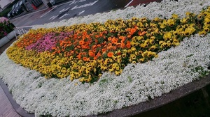 DSC_2053.jpg