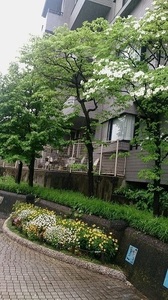 DSC_2057.jpg