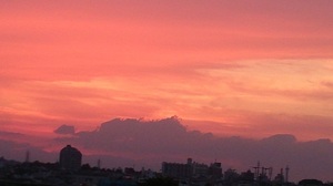 DSC_2088.jpg