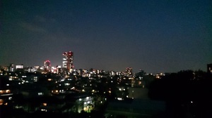 DSC_2131.jpg