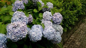 DSC_2295.jpg