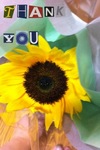 画像 001.jpg