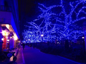 青の洞窟.jpg