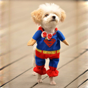 Free-shipping-Pet-font-b-Dog-b-font-Puppy-Cotton-Superman-Clothes-font-b-Halloween-b.jpg