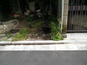 IMG00377.jpg