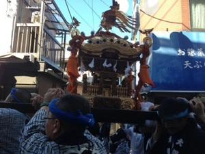 IMG_1750.jpg