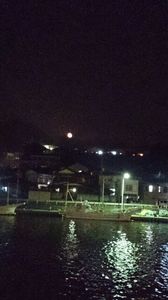IMG_2014072125563.jpg