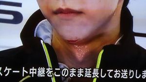 IMG_201411099782.jpg