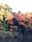 IMG_2202.jpg