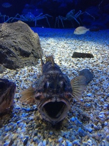 IMG_2523.jpg