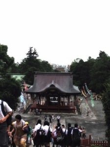 IMG_2883.jpg