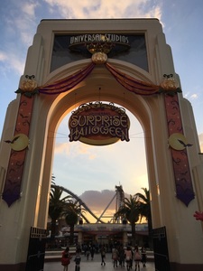 IMG_2887.jpg