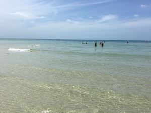 IMG_4799.jpg