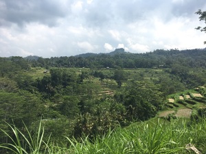IMG_4909.jpg