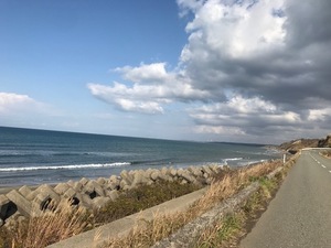 IMG_5176.jpg