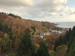 IMG_5182.jpg