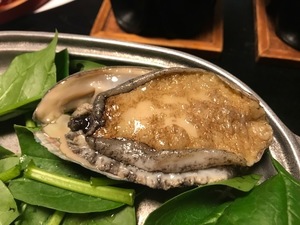 IMG_5190.jpg