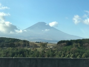 IMG_5218.jpg