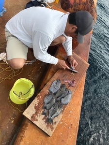 IMG_5338.jpg