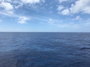 IMG_6478.jpg